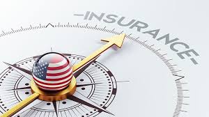 Visitor and Travel Insurance